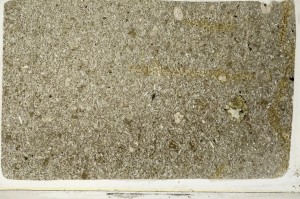 Plane Polarized, S64923