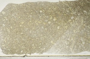 Plane Polarized, S64924