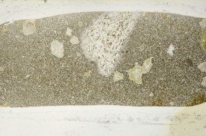 Plane Polarized, S64927