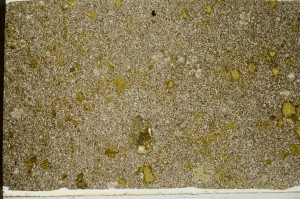 Plane Polarized, S64929