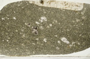 Plane Polarized, S64934