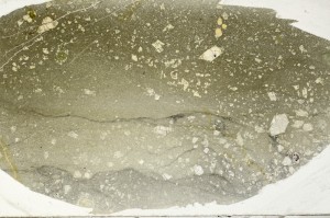 Plane Polarized, S64937