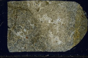 Cross Polarized, S64950