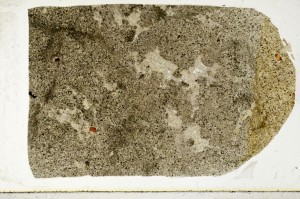 Plane Polarized, S64950