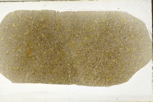 Plane Polarized, S64952