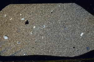 Cross Polarized, S64953