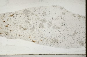 Plane Polarized, S64959