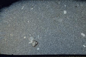 Cross Polarized, S64962