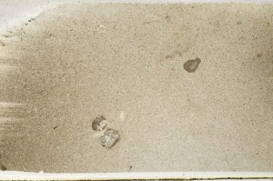 Plane Polarized, S64962