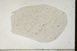 Plane Polarized, S64963