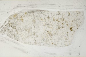 Plane Polarized, S64964