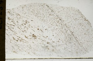 Plane Polarized, S64967