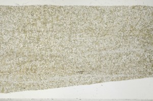 Plane Polarized, S64968/A