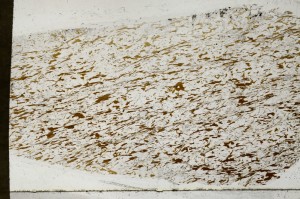 Plane Polarized, S64986
