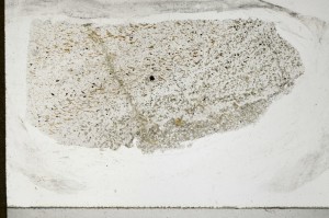 Plane Polarized, S64989