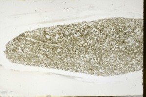 Plane Polarized, S64990