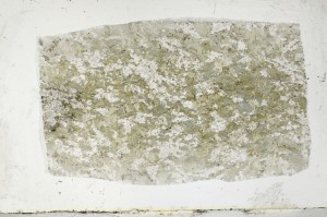 Plane Polarized, S64995