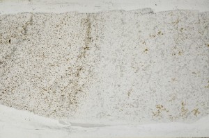 Plane Polarized, S64997