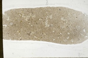 Plane Polarized, S65035