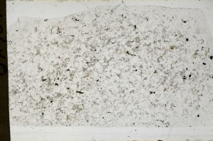 Plane Polarized, S65036