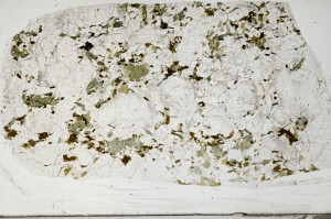 Plane Polarized, S65039