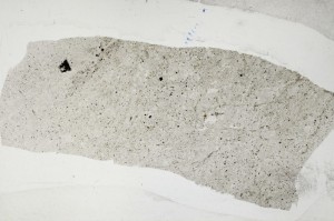 Plane Polarized, S65043