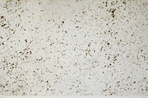 Plane Polarized, S65052