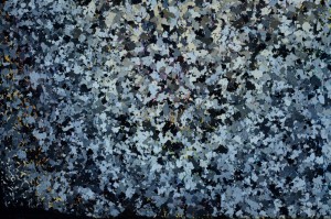 Cross Polarized, S65063