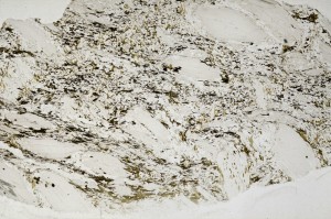 Plane Polarized, S65078