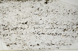 Plane Polarized, S65079