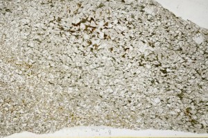 Plane Polarized, S65087