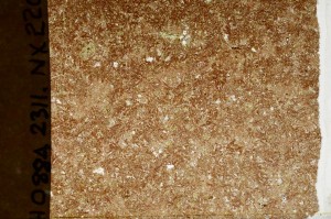 Plane Polarized, S65088