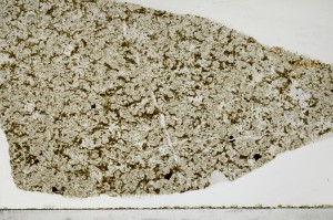 Plane Polarized, S65103