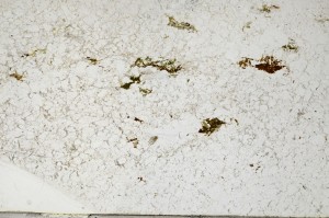 Plane Polarized, S65117