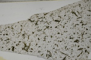 Plane Polarized, S65122
