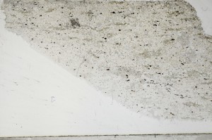 Plane Polarized, S65126