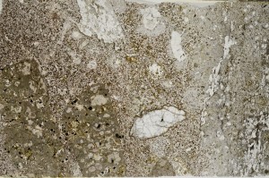 Plane Polarized, S65146