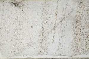 Plane Polarized, S65151