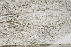 Plane Polarized, S65157