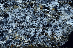 Cross Polarized, S65177