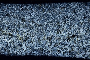 Cross Polarized, S65202