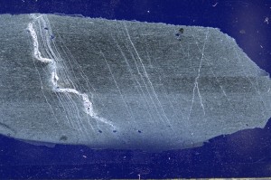 Cross Polarized, S65222