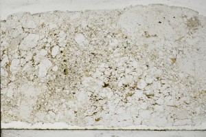 Plane Polarized, S65234