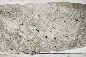 Plane Polarized, S65239