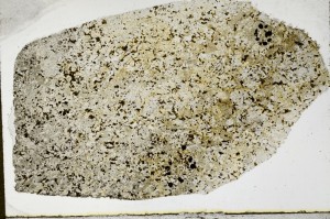 Plane Polarized, S65241