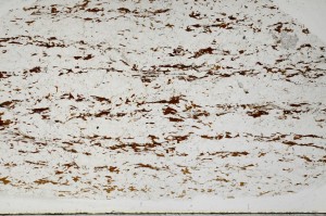 Plane Polarized, S65248