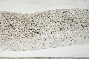 Plane Polarized, S65251