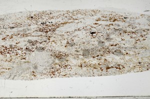 Plane Polarized, S65254