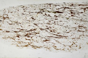 Plane Polarized, S65264