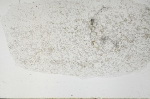 Plane Polarized, S65276